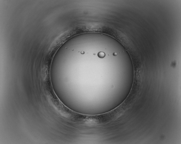 X0000116770741200912171533