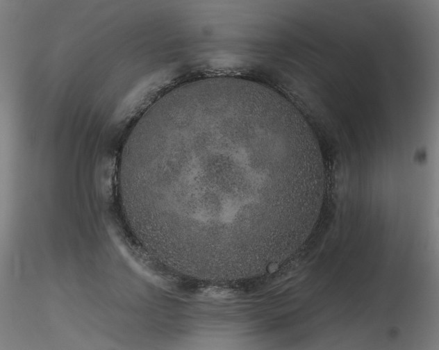 X0000116770742200912171533