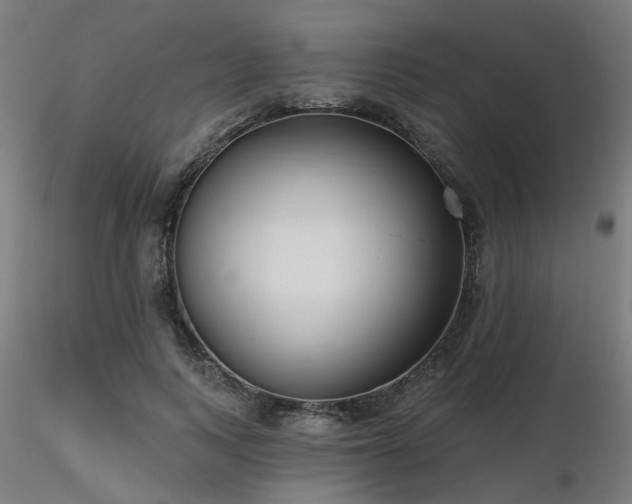 X0000116770743200912171533