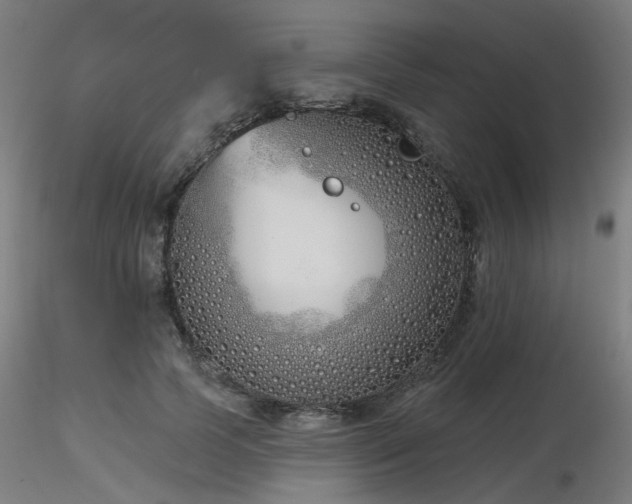 X0000116770745200912171533