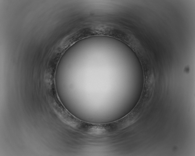 X0000116770749200912171533
