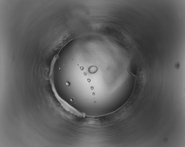X0000116770750200912171533