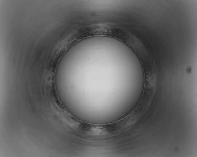 X0000116770753200912171533