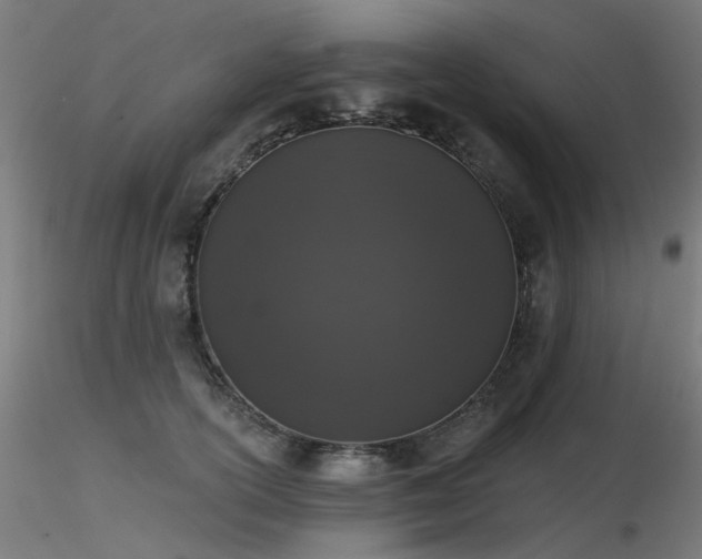 X0000116770754200912171533