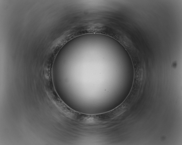 X0000116770755200912171533