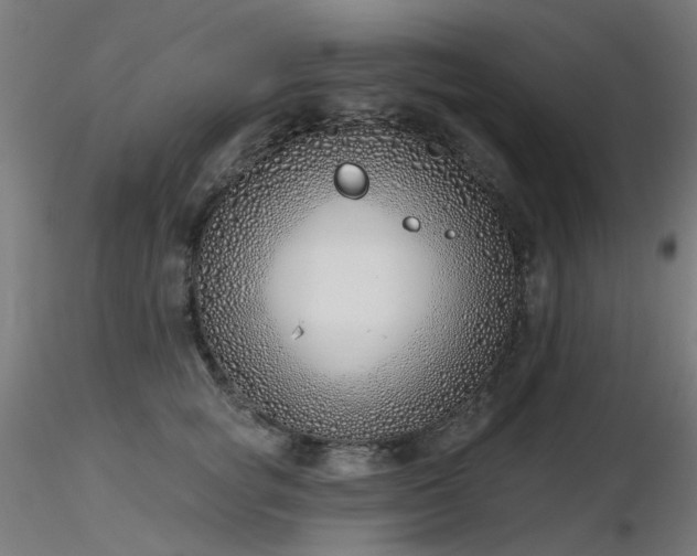 X0000116770757200912171533
