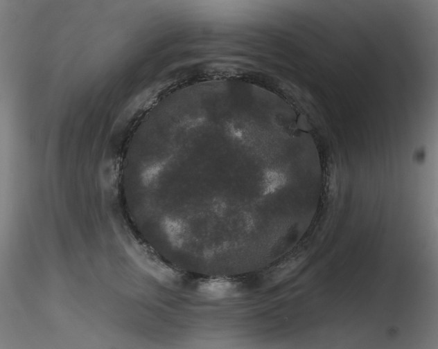X0000116770759200912171533