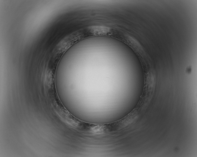 X0000116770761200912171533