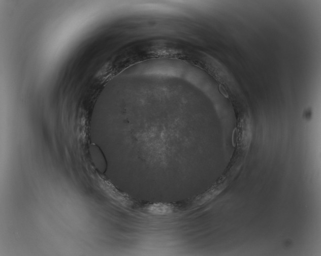 X0000116770762200912171533
