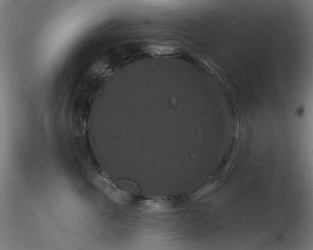 X0000116770763200912171533