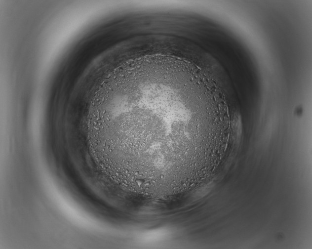 X0000116770765200912171533