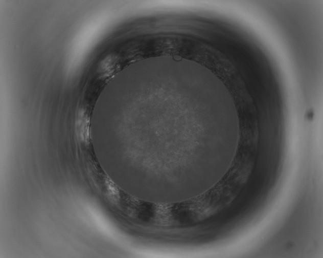 X0000116770766200912171533