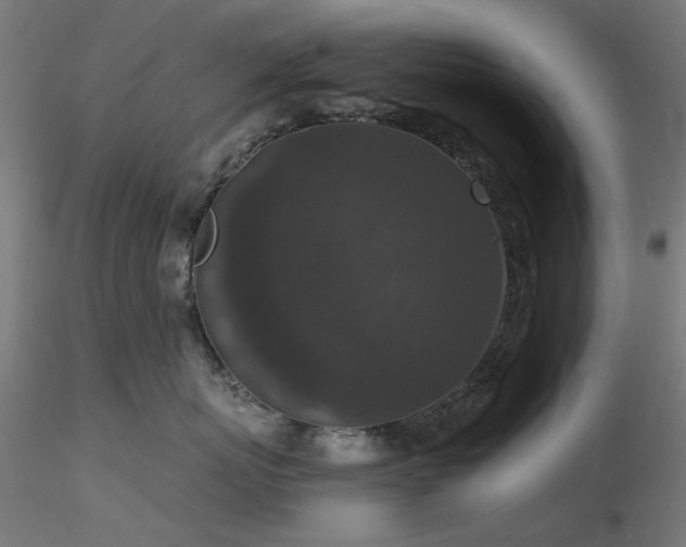 X0000116770767200912171533