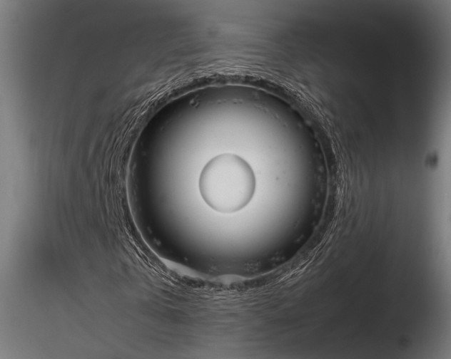 X0000116770769200912171533
