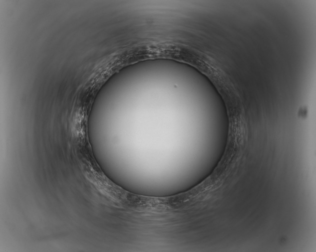 X0000116770770200912171533