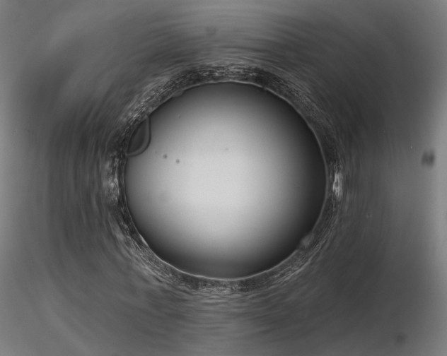 X0000116770771200912171533