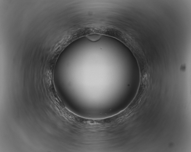 X0000116770772200912171533