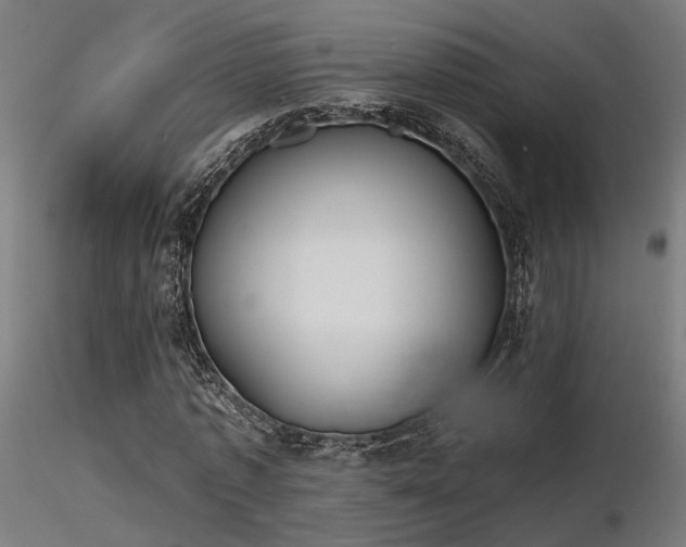 X0000116770773200912171532