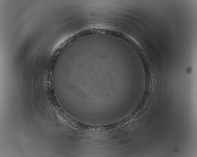 X0000116770775200912171532