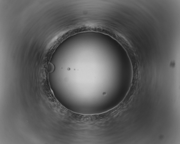 X0000116770776200912171532