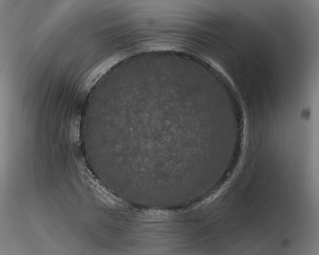 X0000116770777200912171532