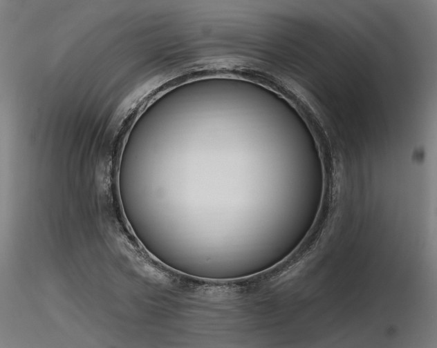 X0000116770778200912171532