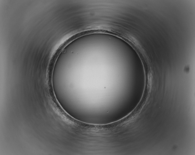 X0000116770780200912171532