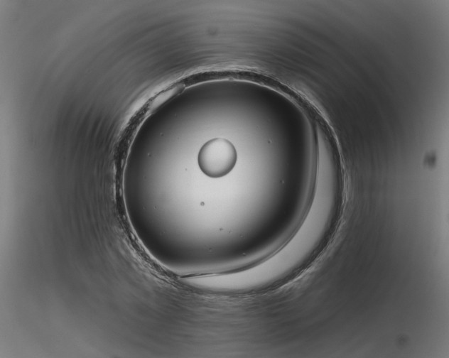 X0000116770781200912171532