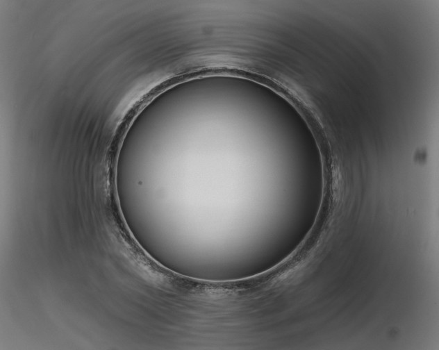 X0000116770782200912171532