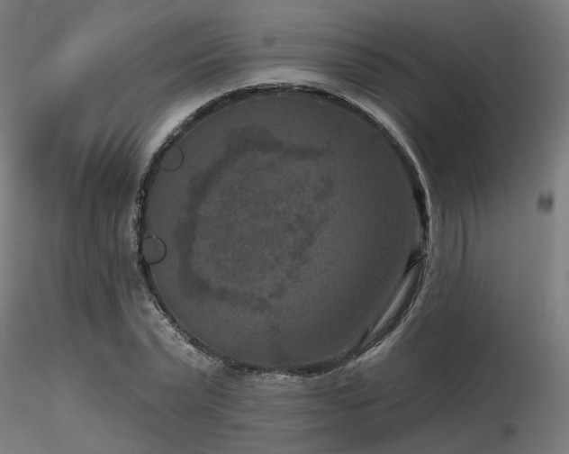 X0000116770783200912171532