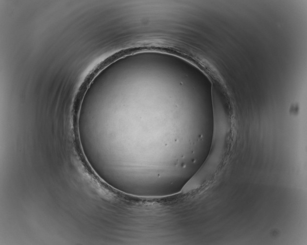 X0000116770784200912171532