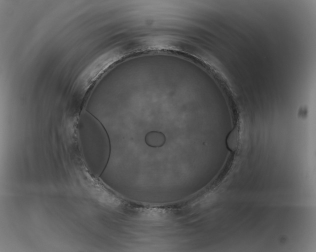 X0000116770785200912171532