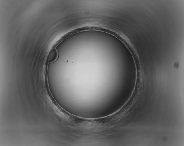 X0000116770791200912171532