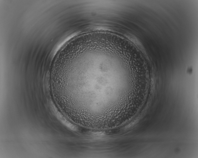 X0000116770798200912171532
