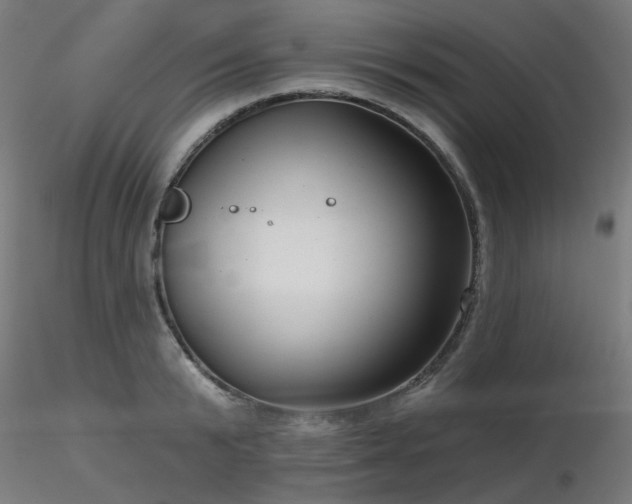 X0000116770799200912171532