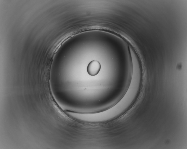 X0000116770801200912171532