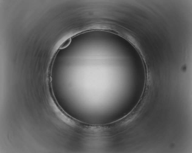 X0000116770803200912171532