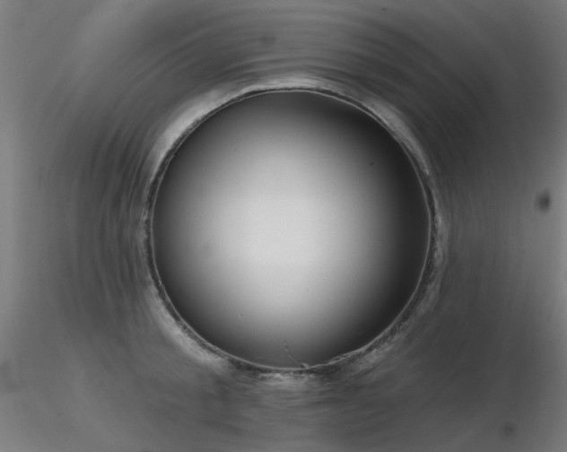 X0000116770805200912171532