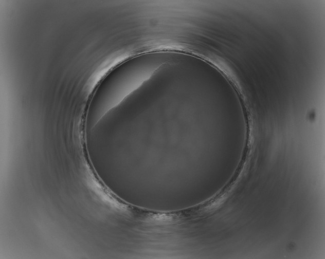 X0000116770806200912171532