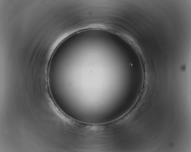 X0000116770808200912171532