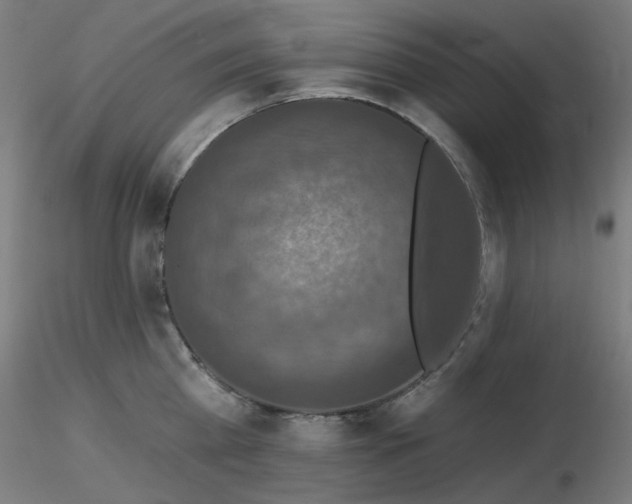 X0000116770809200912171532