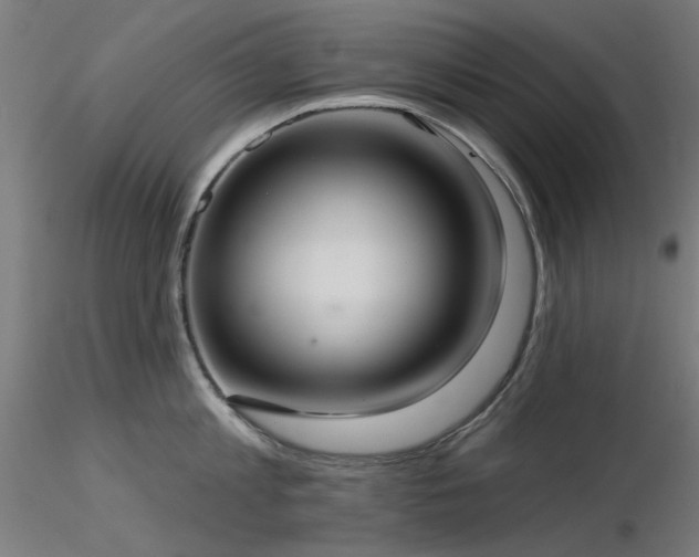 X0000116770813200912171532