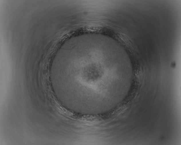 X0000116770817200912171531