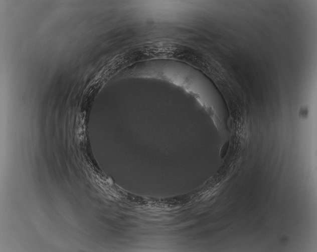 X0000116770818200912171531