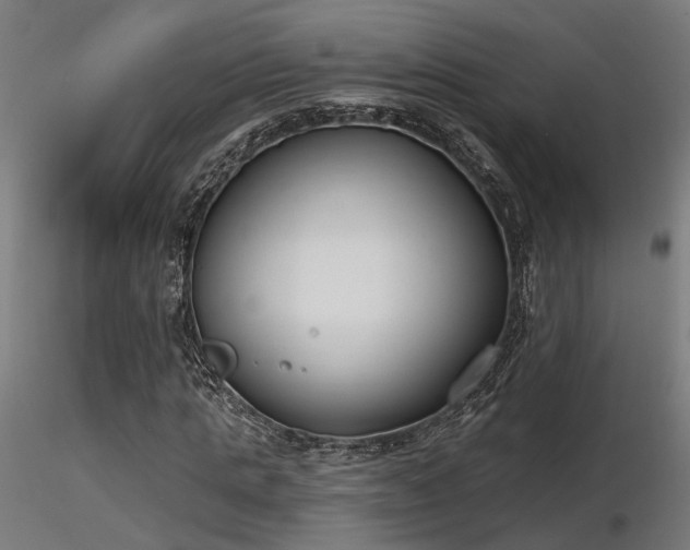 X0000116770821200912171531