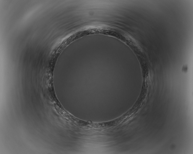 X0000116770822200912171531