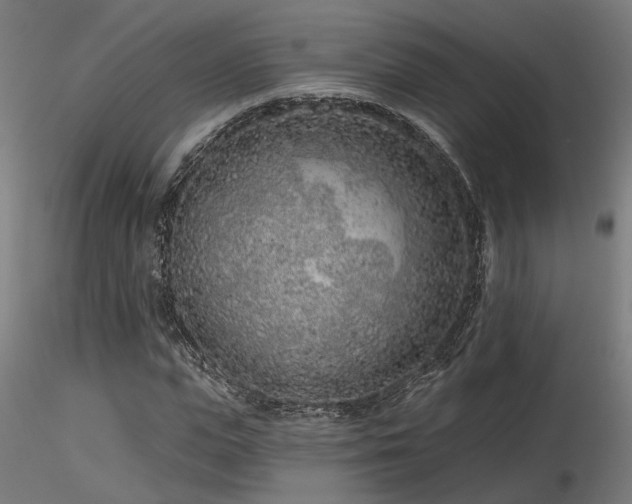 X0000116770823200912171531