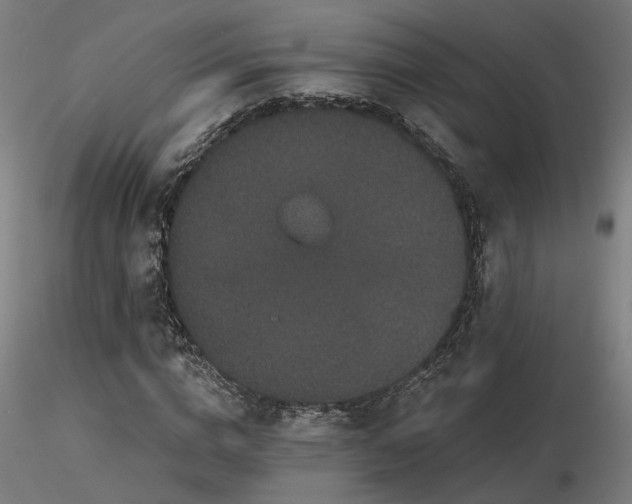X0000116770824200912171531