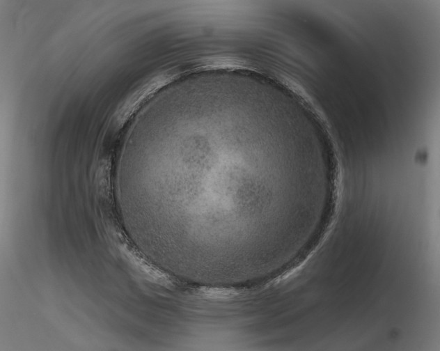 X0000116770825200912171531