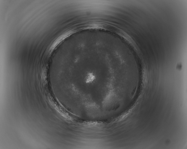 X0000116770826200912171531